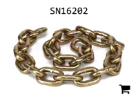 AGCO SN16202 Цепь