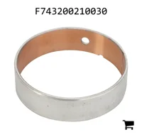 AGCO F743200210030 Подшипниковая втулка