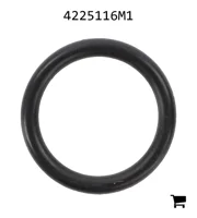 AGCO 4225116M1 Уплотнительное кольцо