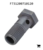 AGCO F731200710120 Болт банджо