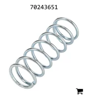 AGCO 70243651 Пружина