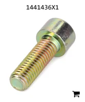 AGCO 1441436X1 Винт с цилиндрической головкой и шестигранным углублением