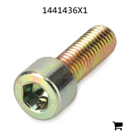 AGCO 1441436X1 Винт с цилиндрической головкой и шестигранным углублением