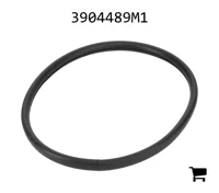 AGCO 3904489M1 Прокладка
