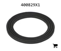 AGCO 400829X1 Уплотнение