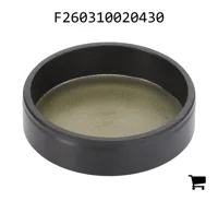 AGCO F260310020430 Заглушка