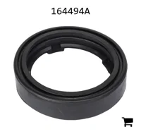 AGCO 164494A Кольцо