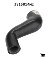 AGCO 3815814M2 Шланг