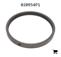 AGCO 020954P1 Звездочка