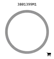 AGCO 3801399M1 Шайба