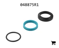 AGCO 048875R1 Ремкомплект