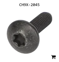 AGCO CH9X-2045 Винт с головкой Torx