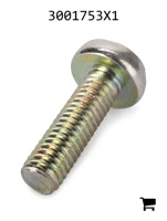 AGCO 3001753X1 Винт с полукруглой головкой