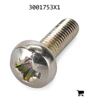 AGCO 3001753X1 Винт с полукруглой головкой