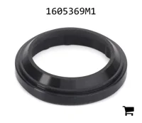 AGCO 1605369M1 Уплотнение цилиндра