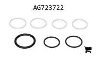 AGCO AG723722 Комплект сальников