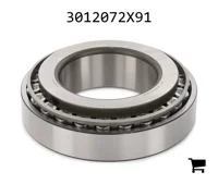 AGCO 3012072X91 Подшипниковый узел