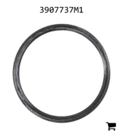 AGCO 3907737M1 Прокладка