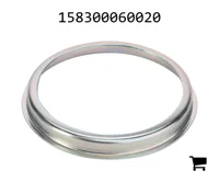 AGCO 158300060020 Пластина запуска