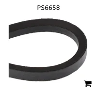 AGCO PS6658 Ремень