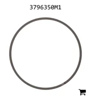 AGCO 3796350M1 Сегмент