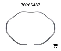 AGCO 70265487 Пружина