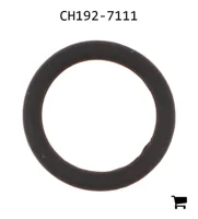 AGCO CH192-7111 Уплотнительное кольцо
