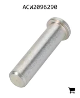 AGCO ACW2096290 Шарнирный палец