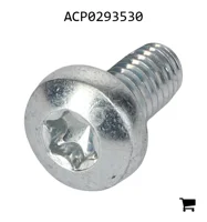 AGCO ACP0293530 Винт