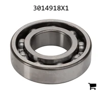 AGCO 3014918X1 Шариковый подшипник