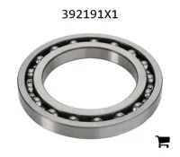 AGCO 392191X1 Шариковый подшипник