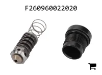 AGCO F260960022020 Предохранительный клапан давления