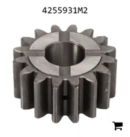 AGCO 4255931M2 Шестерня