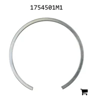 AGCO 1754501M1 Кольцо