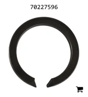 AGCO 70227596 Кольцо