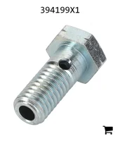 AGCO 394199X1 Винт