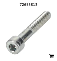 AGCO 72655813 Болт с цилиндрической головкой