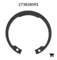 AGCO 2730385M1 Кольцо