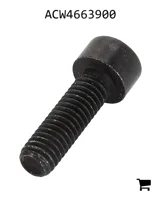 AGCO ACW4663900 Винт с цилиндрической головкой и шестигранным углублением