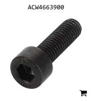 AGCO ACW4663900 Винт с цилиндрической головкой и шестигранным углублением