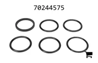 AGCO 70244575 Уплотнение