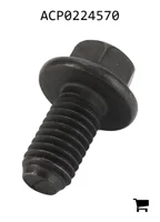 AGCO ACP0224570 Болт