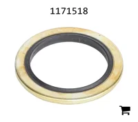 AGCO 1171518 Шайба