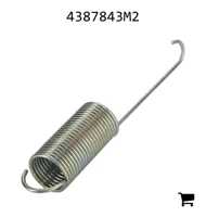 AGCO 4387843M2 Пружина