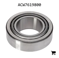AGCO ACW7619800 Роликовый подшипник