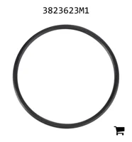 AGCO 3823623M1 Уплотнительное кольцо гидравлического подъемника