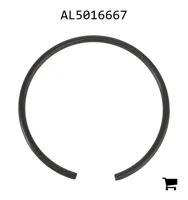 AGCO AL5016667 Кольцо