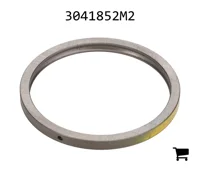 AGCO 3041852M2 Шайба