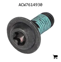 AGCO ACW7614930 Винт с цилиндрической головкой