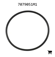 AGCO 7079051M1 Уплотнительное кольцо